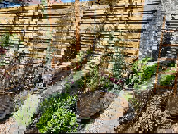 Vlinder- en bijenvriendelijke tuin met hergebruikte bestrating